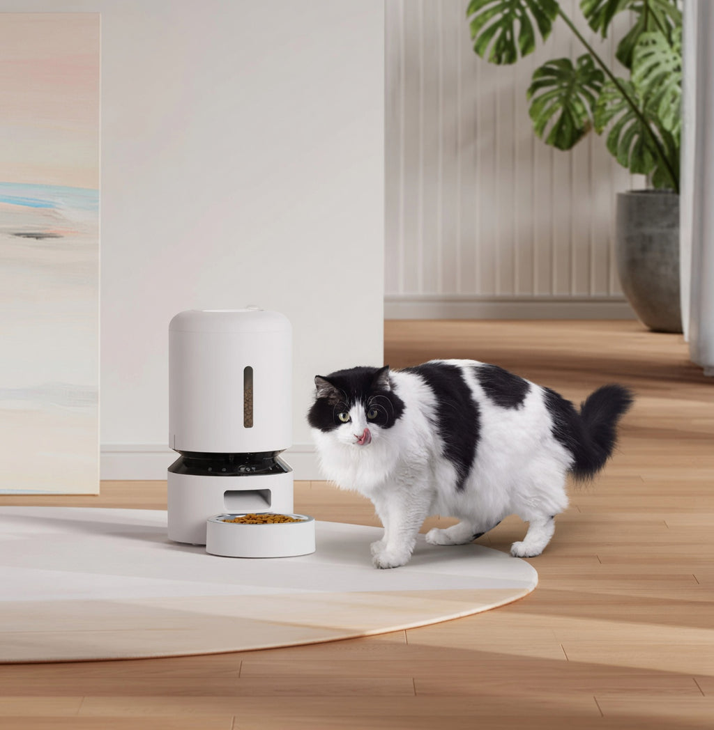 Smart Automatic Pet Feeder