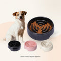 Eco-Friendly Silicone Slow Feeder Dog Bowl