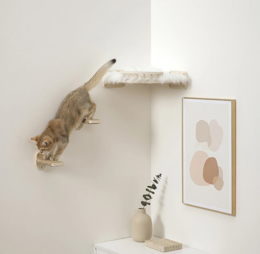Wall-Mounted Wooden Cat Scratcher & Perch