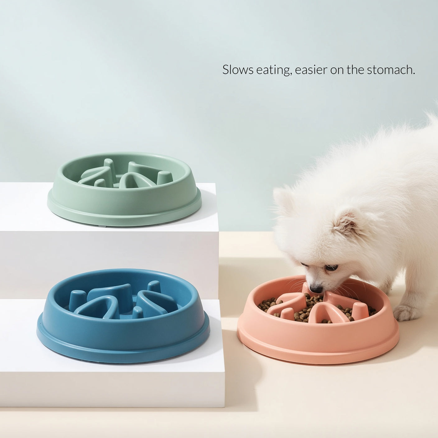 Portable Slow Feeder Dog Bowl