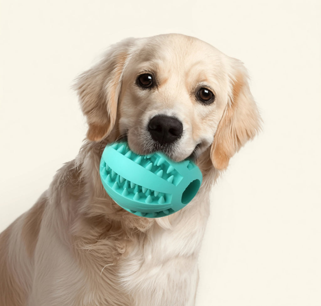 Natuurlijke Rubberen Honden Kauwbal