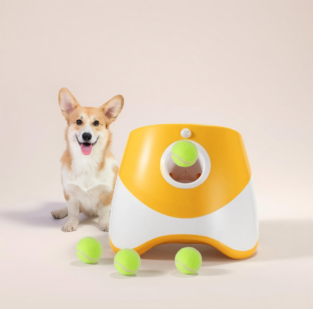 Automatic Dog Ball Launcher