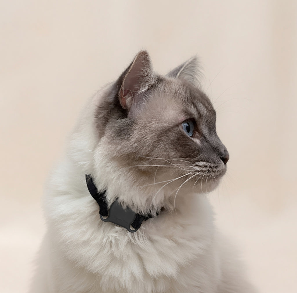 GPS Pet Tracker for Dogs and Cats