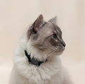 GPS Pet Tracker for Dogs and Cats